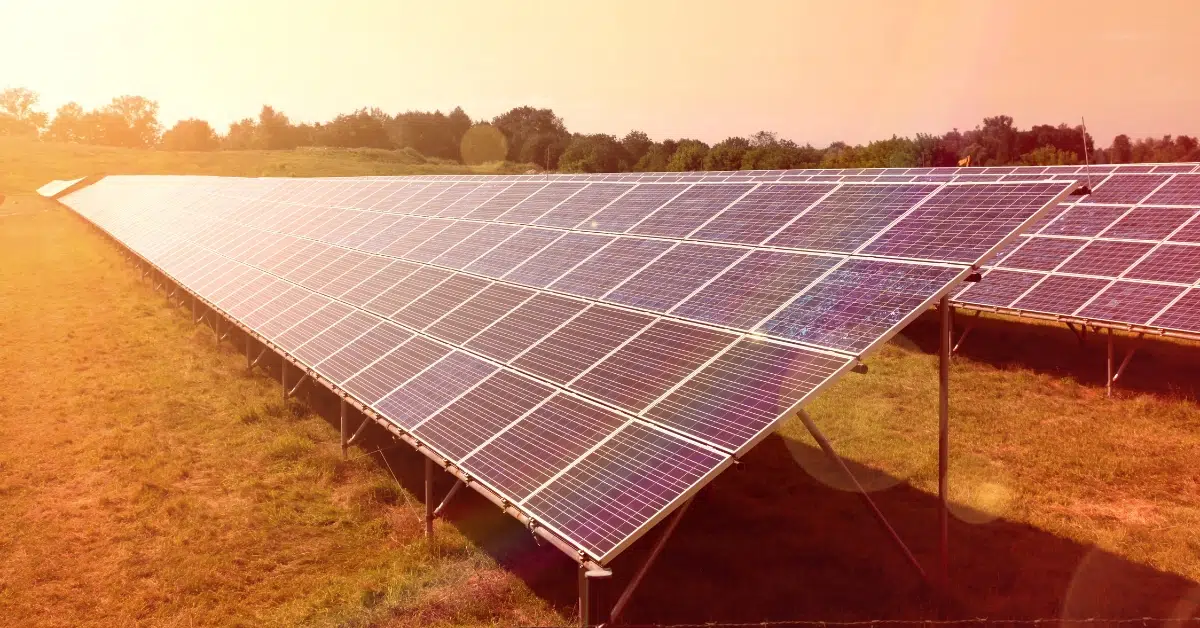 a ground mount oklahoma solar panel array in golden hour light -