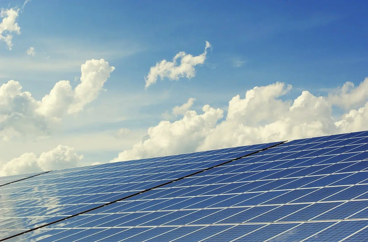 why hire a professional solar panel cleaning company